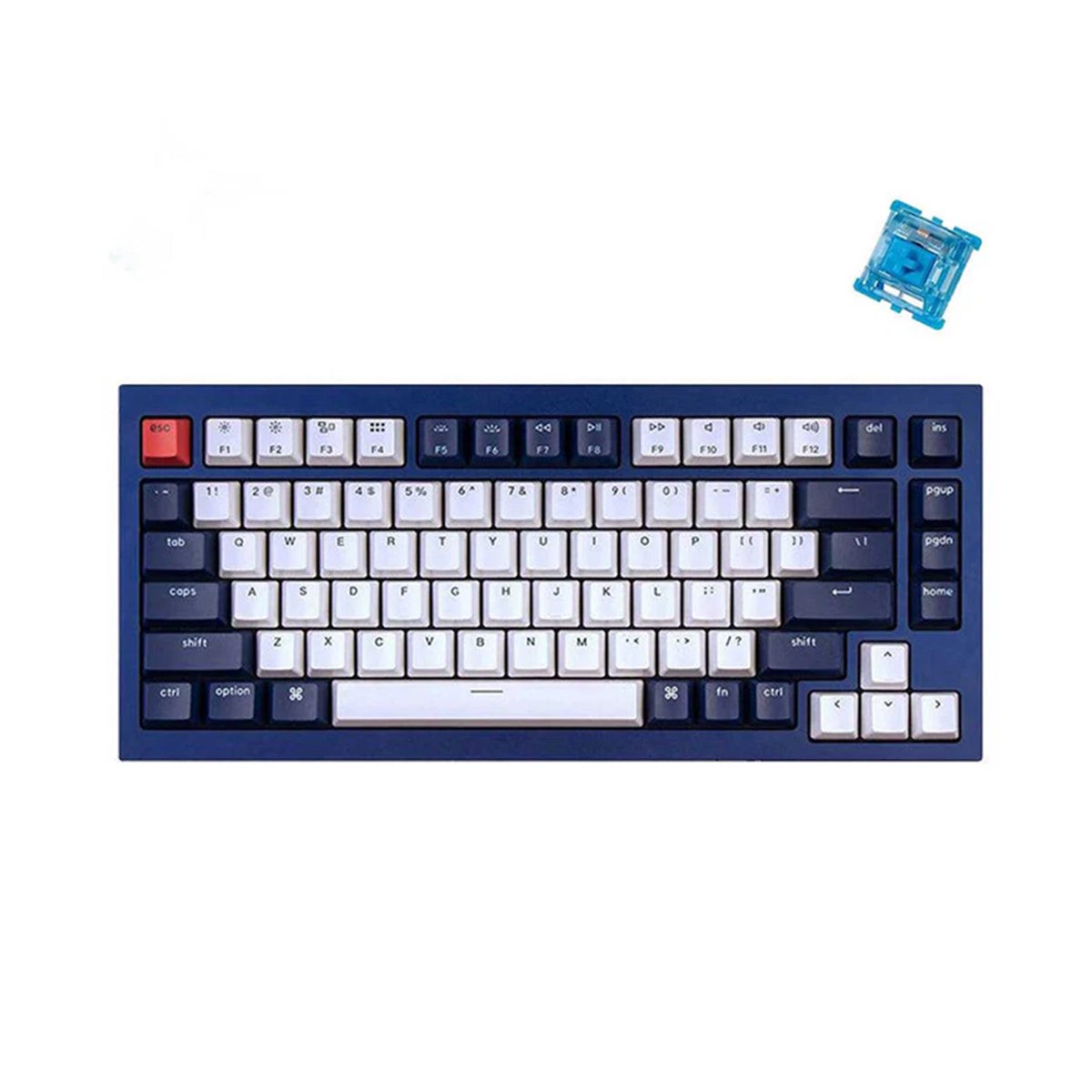 Keychron Q1 QMK Custom Mechanical Fully Assembled Navy Blue Keyboard (Gateron Phantom Blue Switch) (Q1J2)