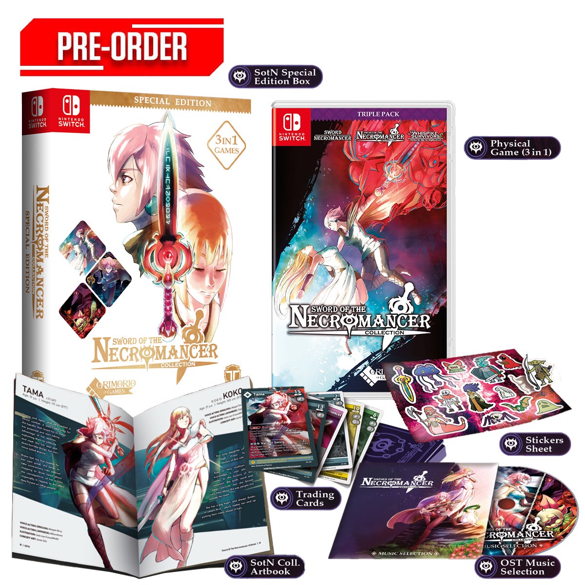 Nintendo Switch Sword of the Necromancer Collection Special Edition Pre-Order Downpayment