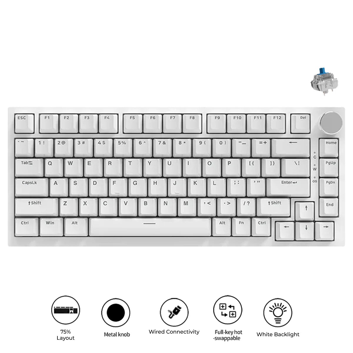 Ajazz AK820 White Backlit Wired 75% Hot-Swappable Mechanical Keyboard (White) (Blue Switch)