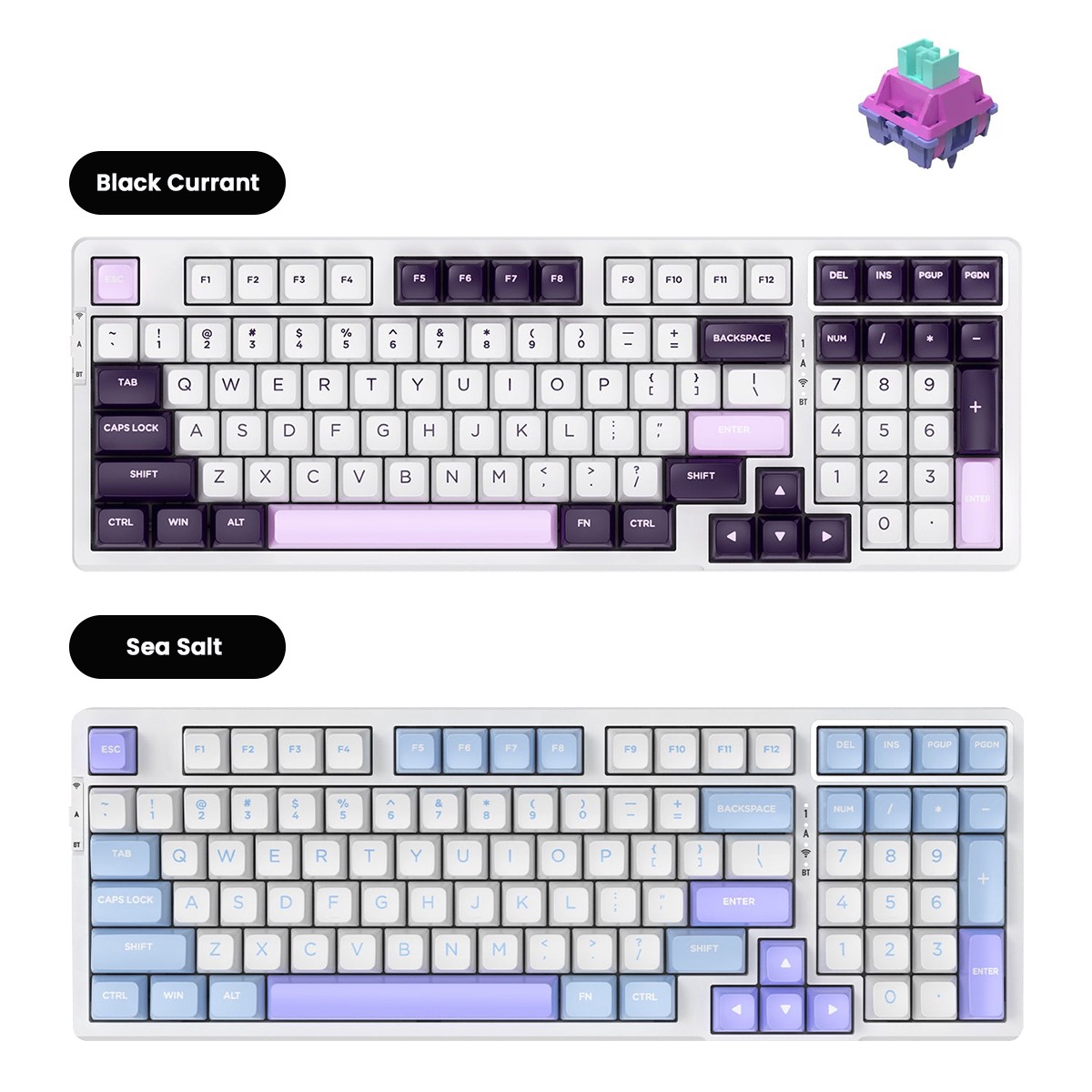 VGN V98 Pro V2 Wireless Gaming Mechanical Keyboard (Steam Wave Pro Switch) (Black Currant, Sea Salt)